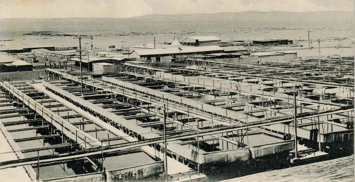 Oficina Agustín Edwards de Antofagasta ca. 1920 — 1920 | Chile de Ayer