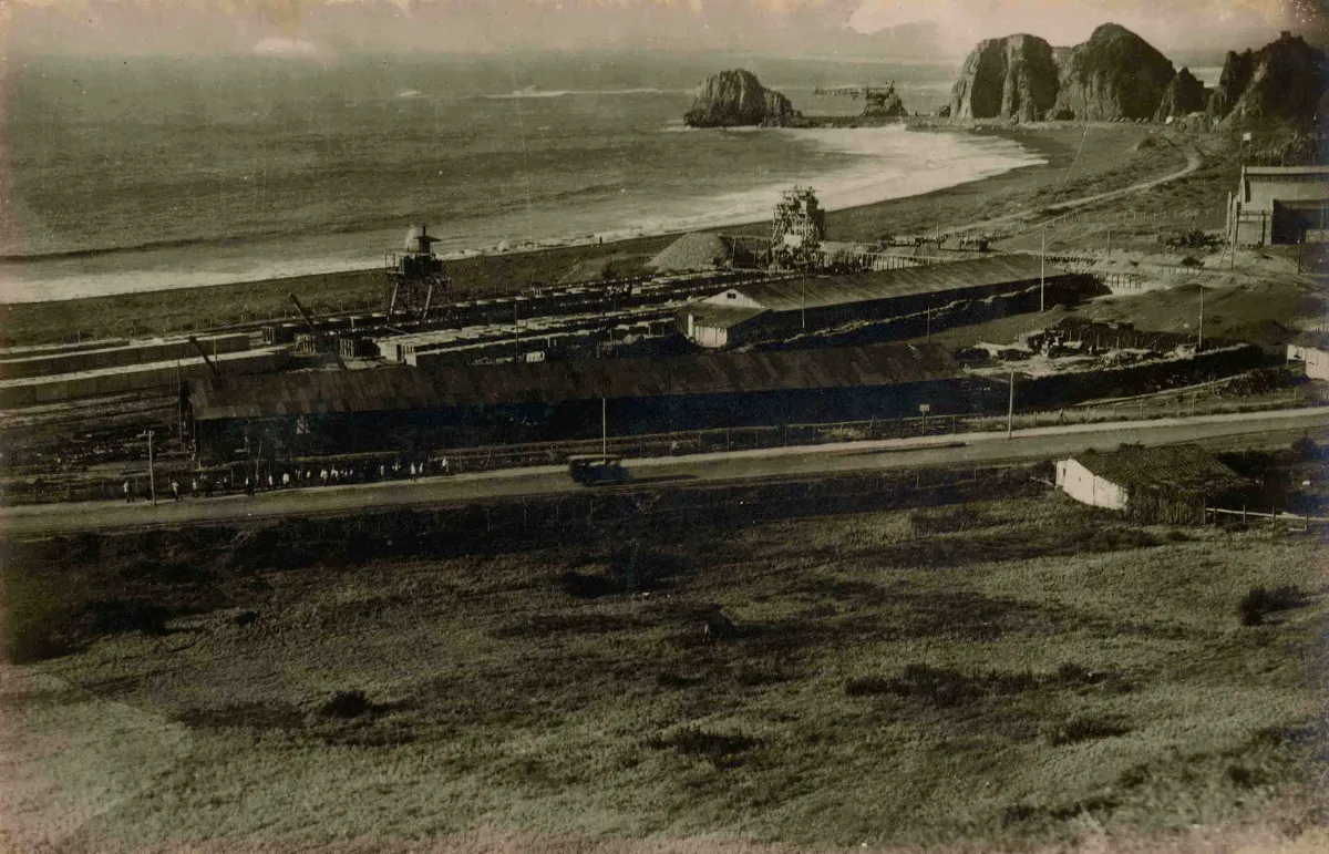 Constitución ca. 1920 — 1920 | Chile de Ayer