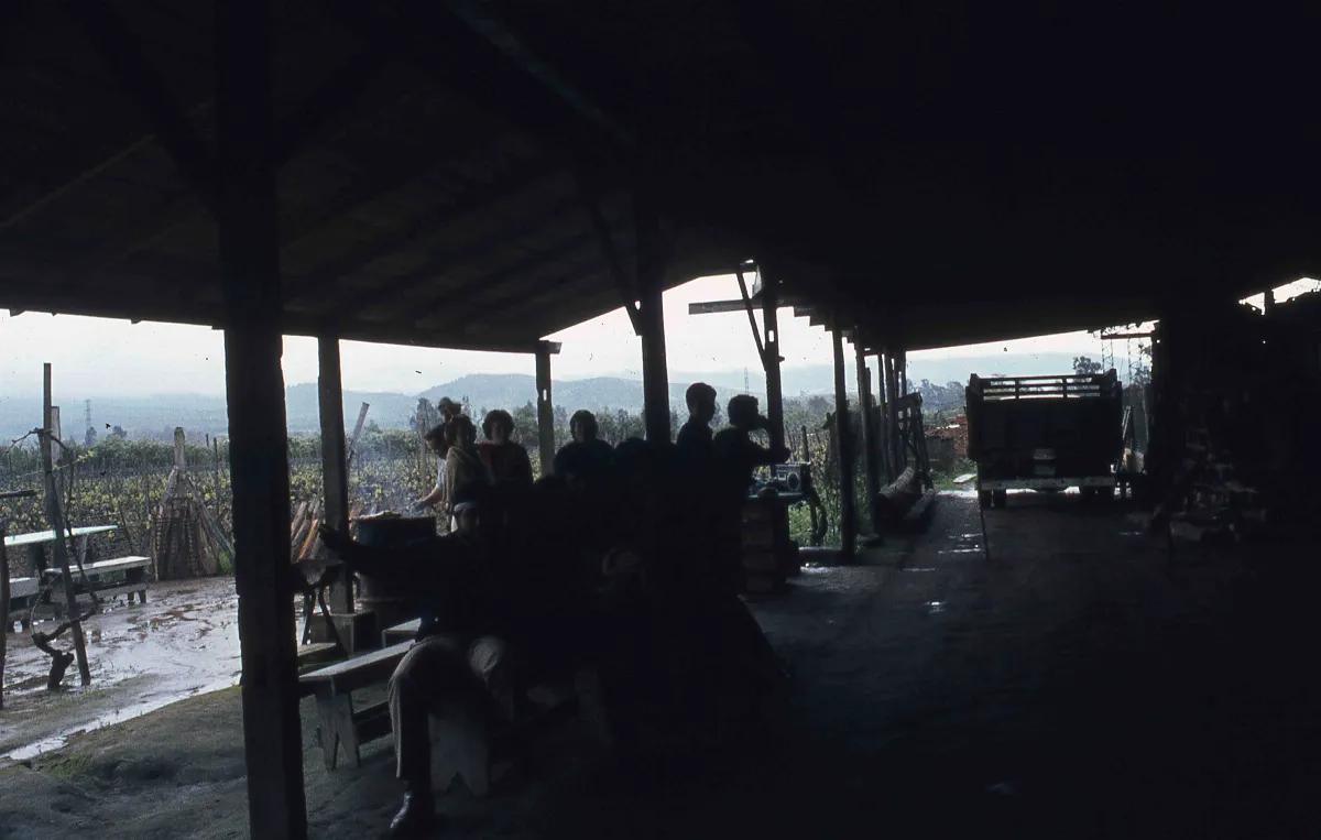 Sector Parque Nacional la Campana en los 70s — 1920 | Chile de Ayer