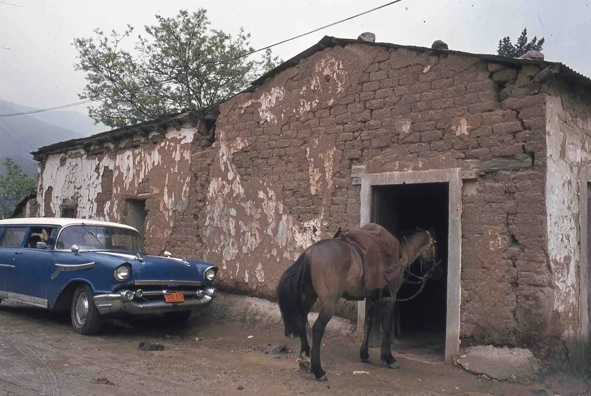 Sector Parque Nacional la Campana en los 70s — 1920 | Chile de Ayer