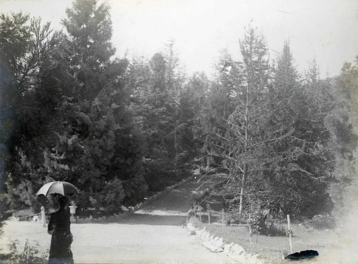 Parque Las Majadas de Pirque, CA 1901 — Las Majadas de Pirque — 1901 | Chile de Ayer
