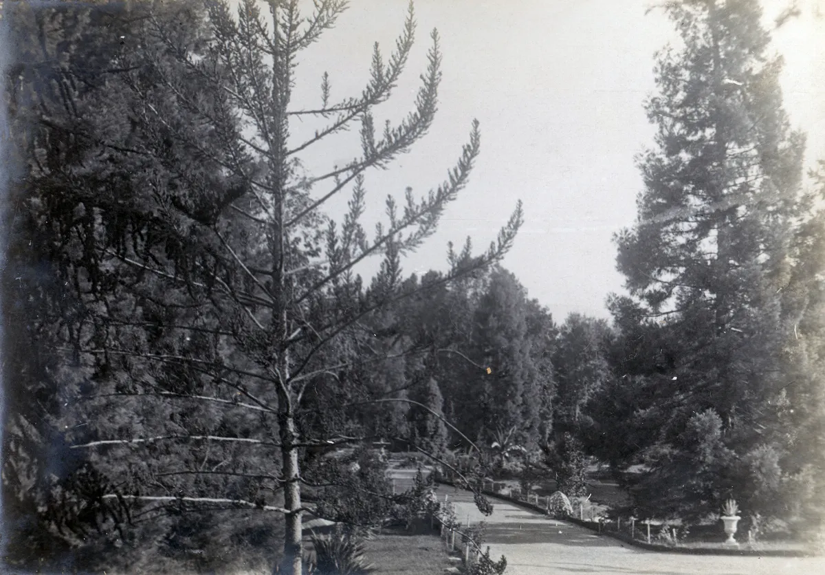 Parque Las Majadas de Pirque, CA 1901 — 1901 | Chile de Ayer