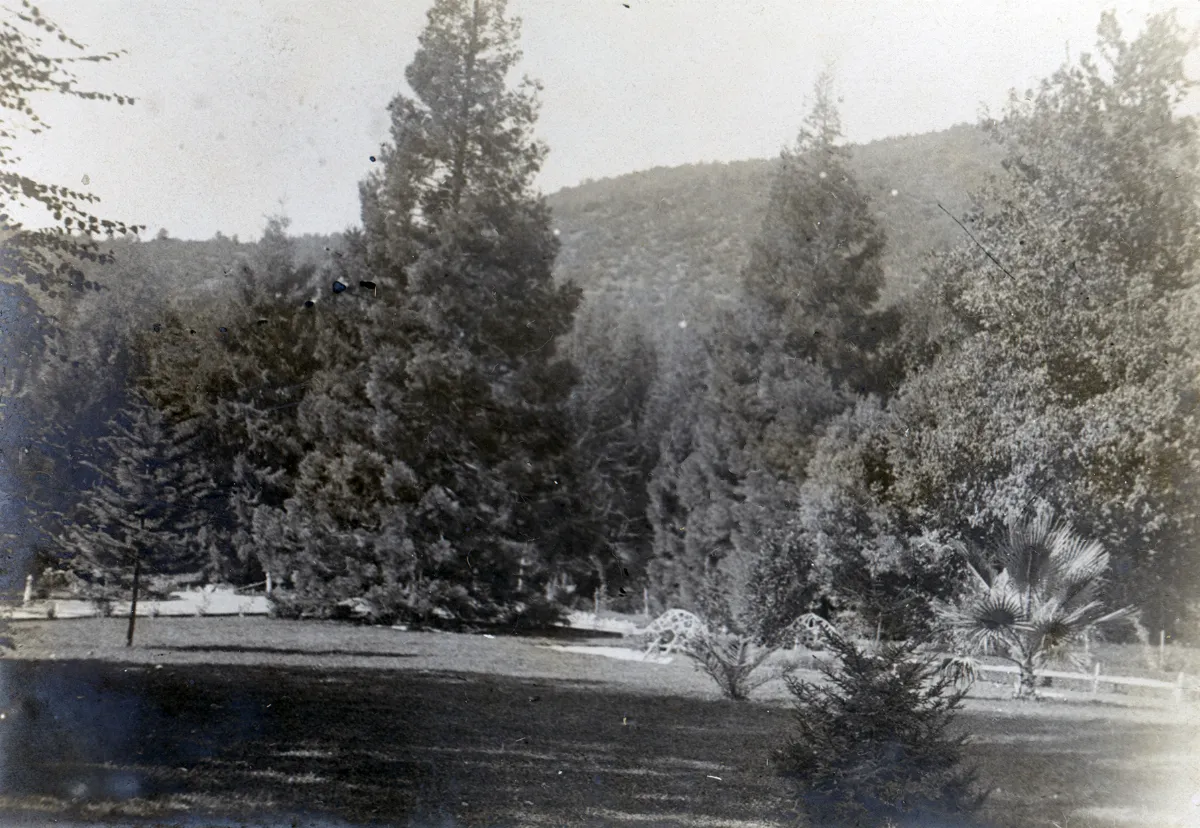 Parque Las Majadas de Pirque, CA 1901 — Las Majadas de Pirque — 1901 | Chile de Ayer