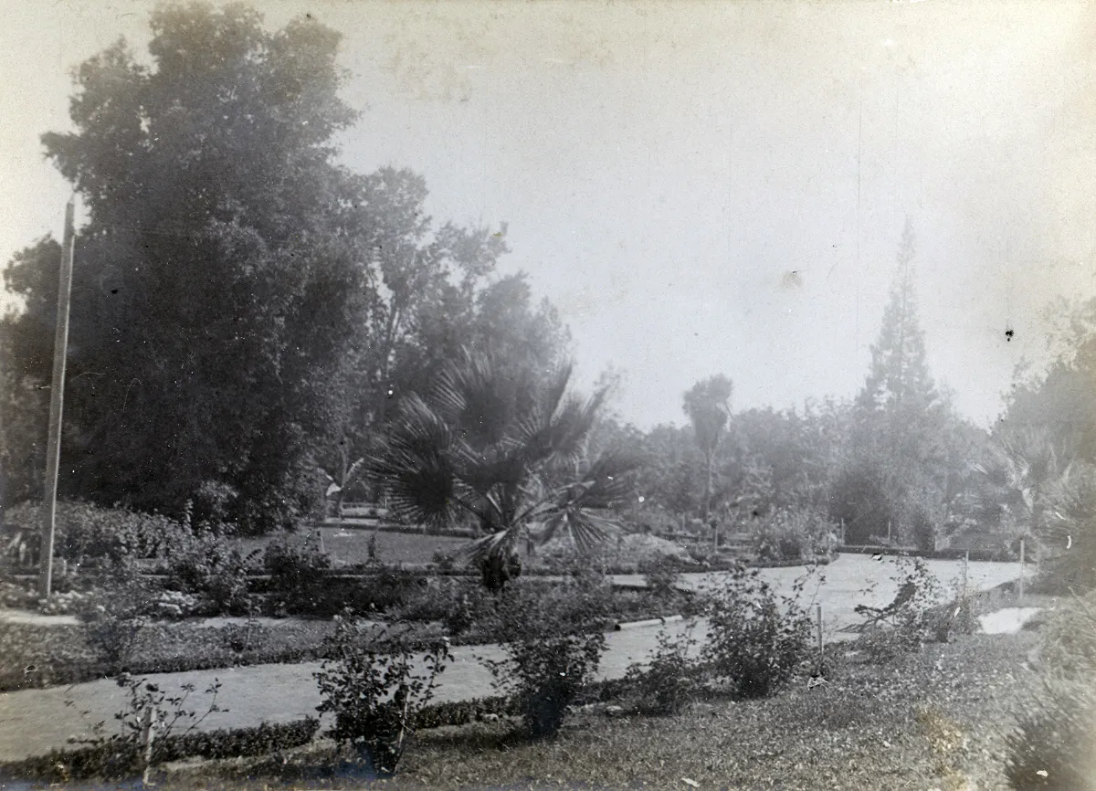 Parque Las Majadas de Pirque, CA 1901 — Las Majadas de Pirque — 1901 | Chile de Ayer