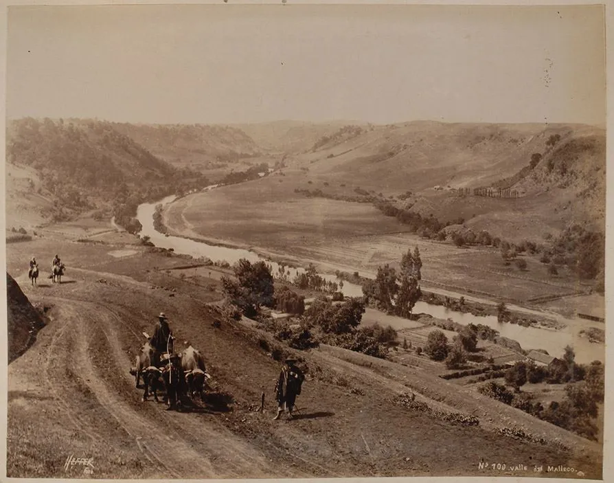 Valle del Malleco. Año 1884 aproximadamente. — Valle del Malleco — 1884 | Chile de Ayer