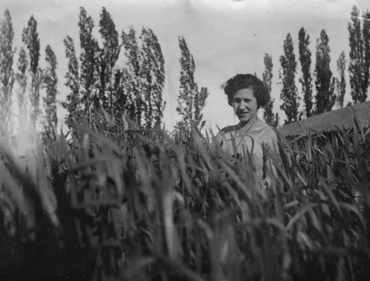 Chillán en 1920 — Chillán — 1920 | Chile de Ayer