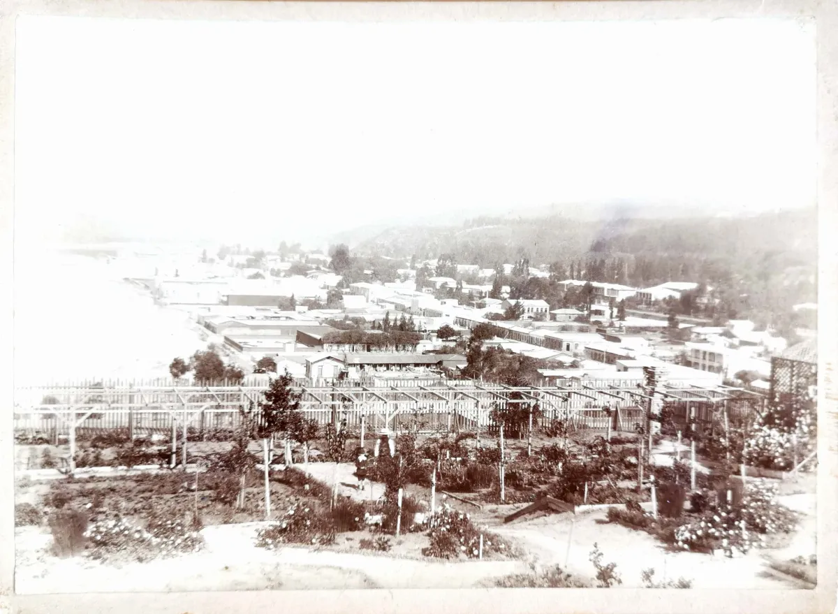 Viña del Mar desde Cerro Castillo, 1904 — 1904 | Chile de Ayer