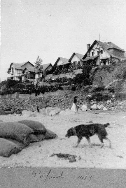 Casas en Papudo, 1913 — Costanera de Papudo — 1913 | Chile de Ayer