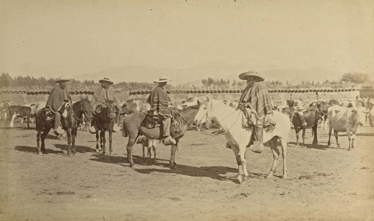 Personas a caballo, zona central, 1888 — Limache — 1888 | Chile de Ayer