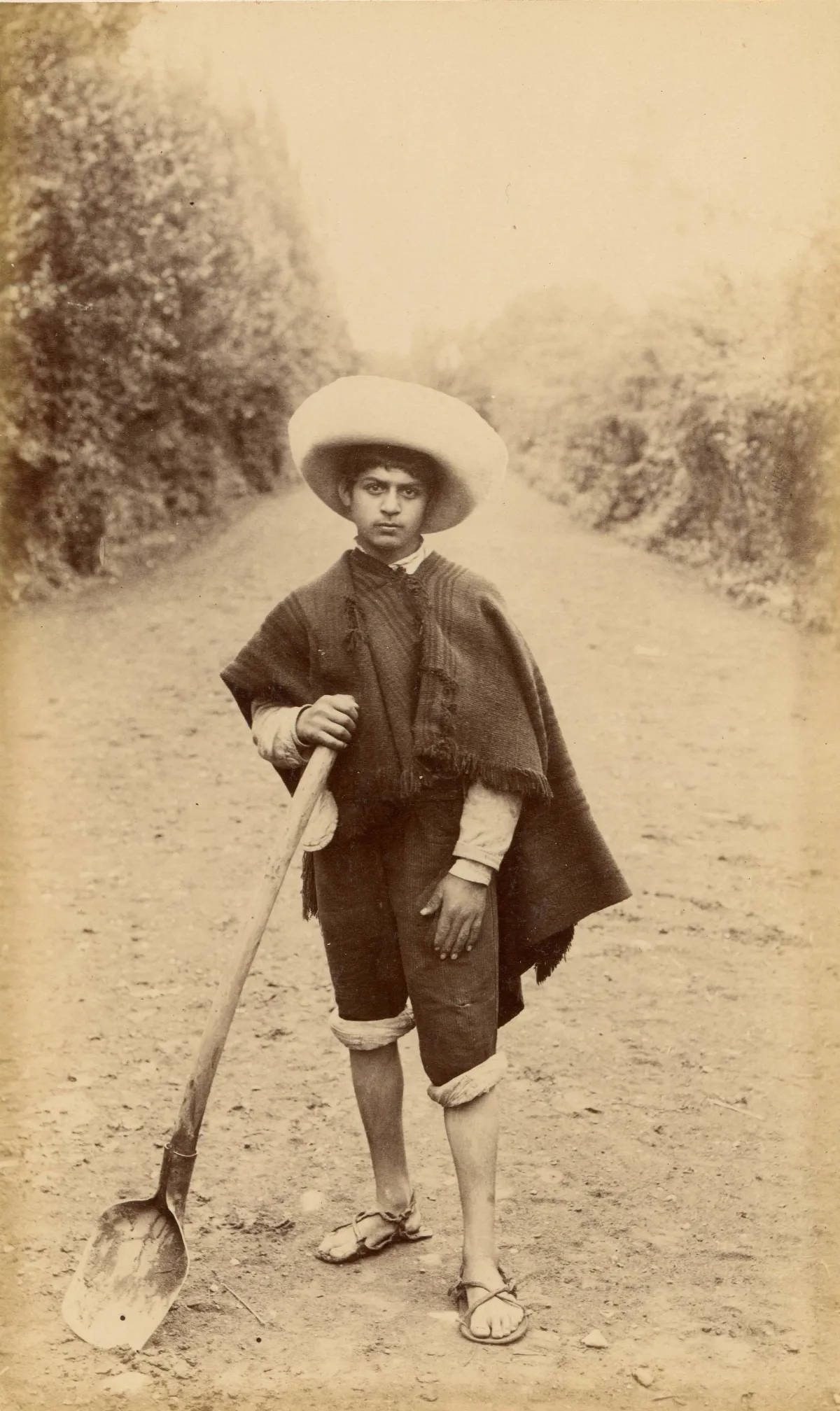 Joven campesino, zona central, 1888 — 1888 | Chile de Ayer
