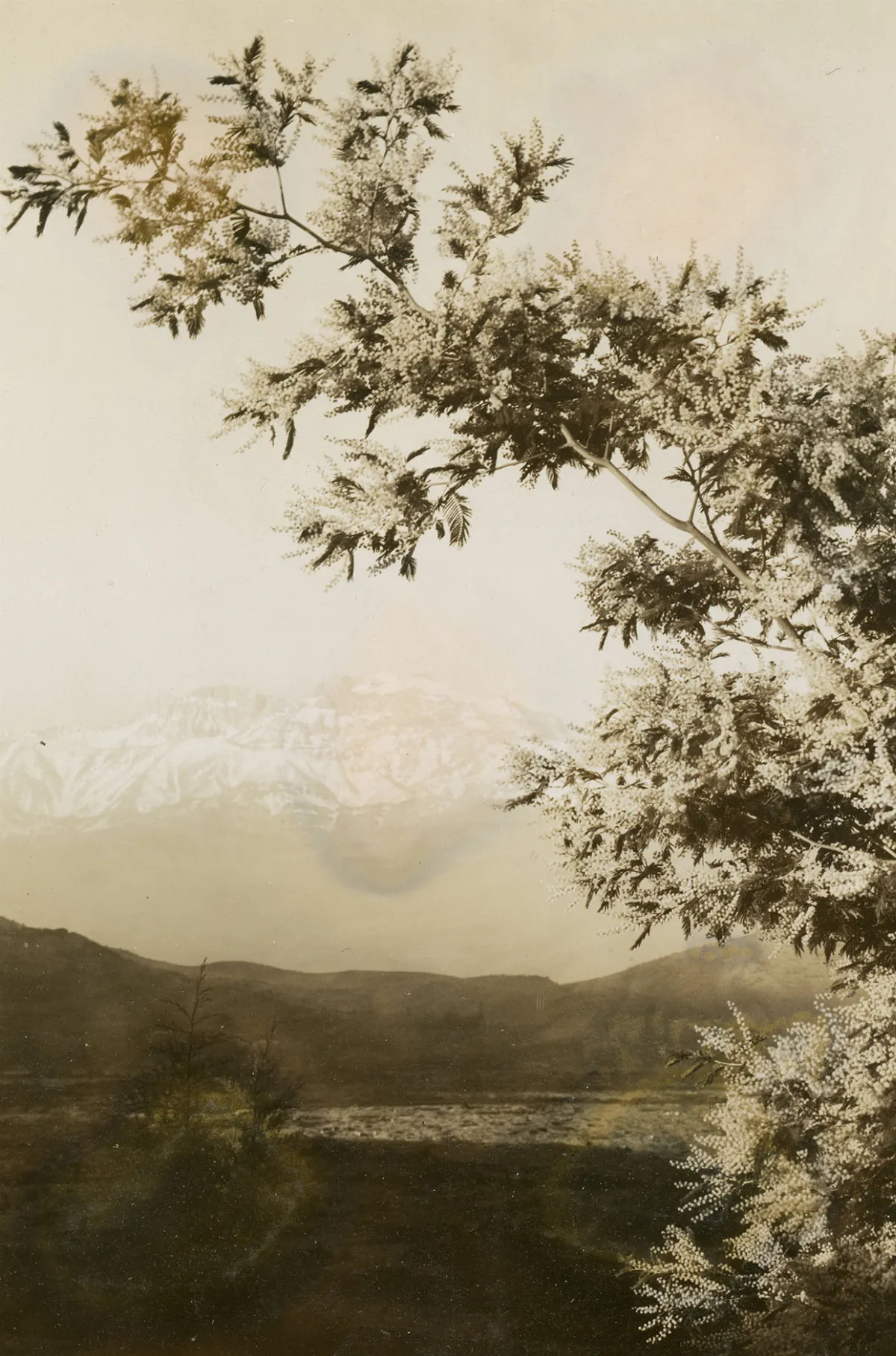 Cerro el Plomo, C.a 1930 — 1930 | Chile de Ayer