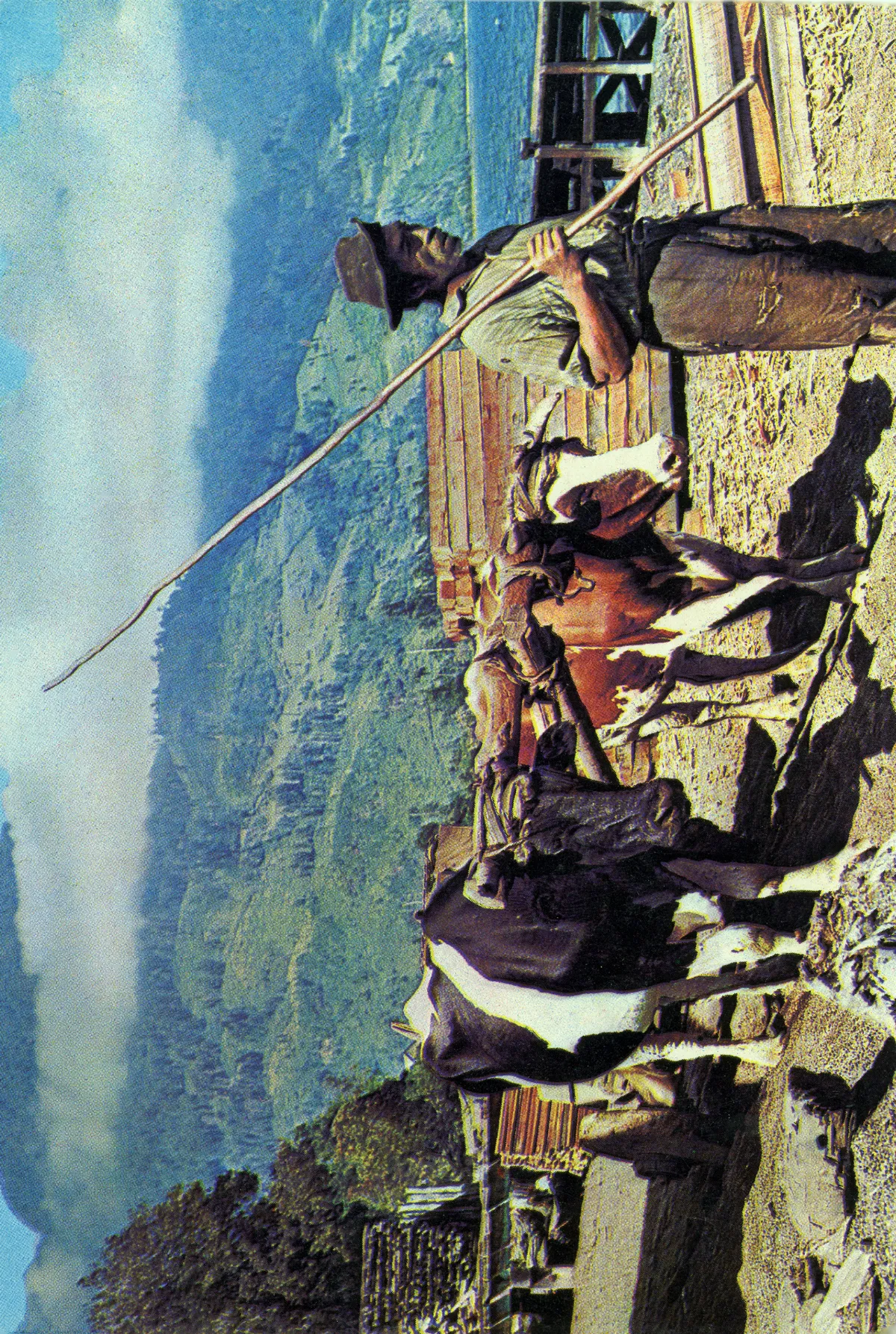 bueyes lago sur, C.a 1950 — Sur de Chile — 1950 | Chile de Ayer
