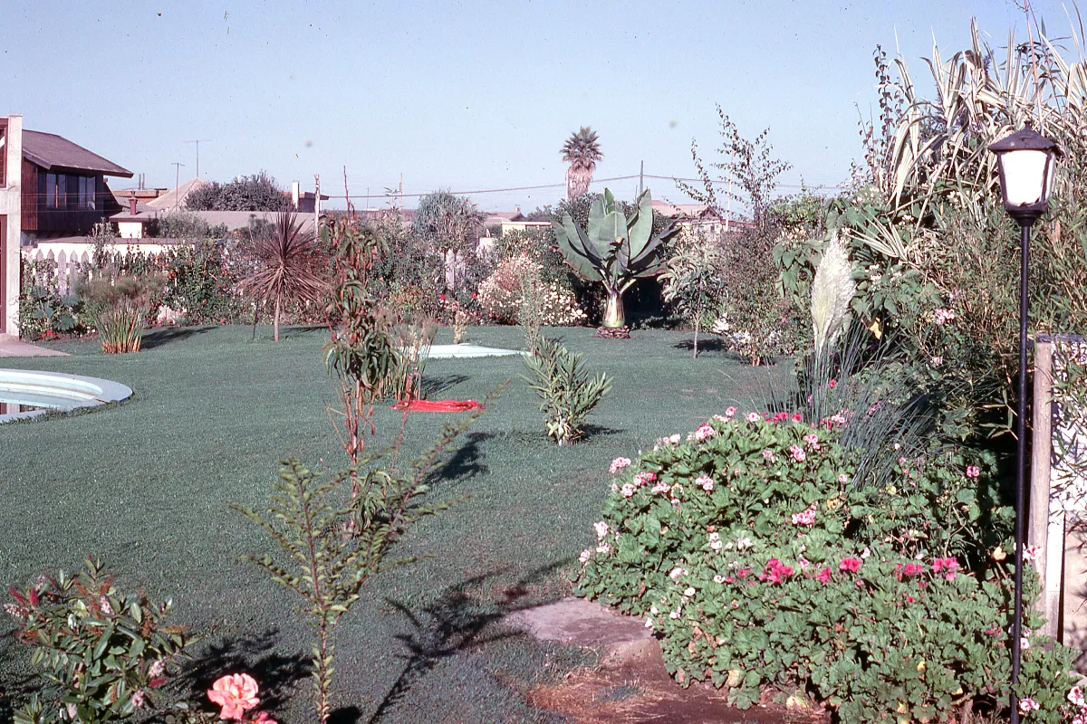 Jardín de casa en 1965 — 1965 | Chile de Ayer