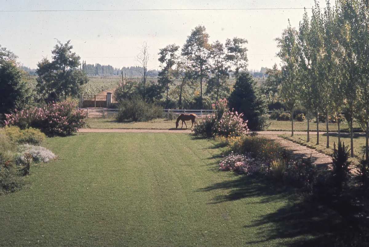JArdín casona familiar en 1965 — 1965 | Chile de Ayer