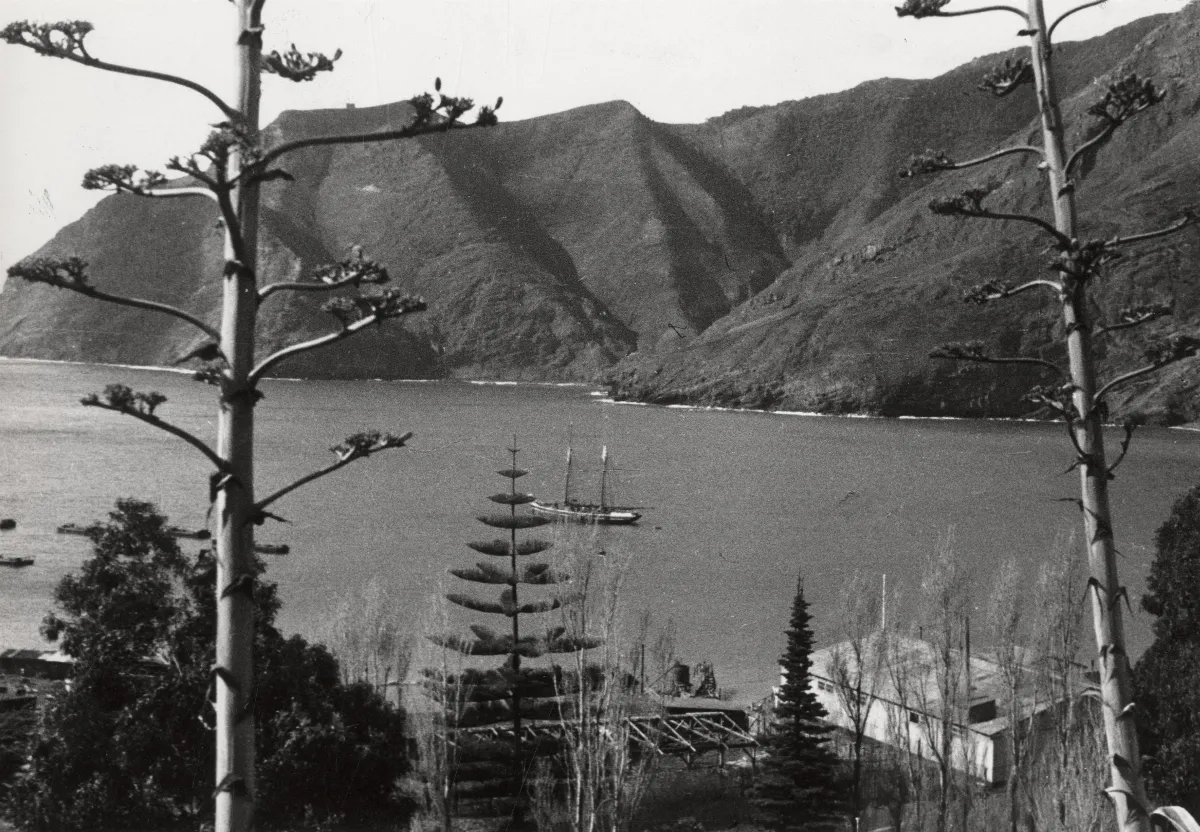 Isla Robinson Crusoe, 1938 — Bahía Cumberland — 1938 | Chile de Ayer