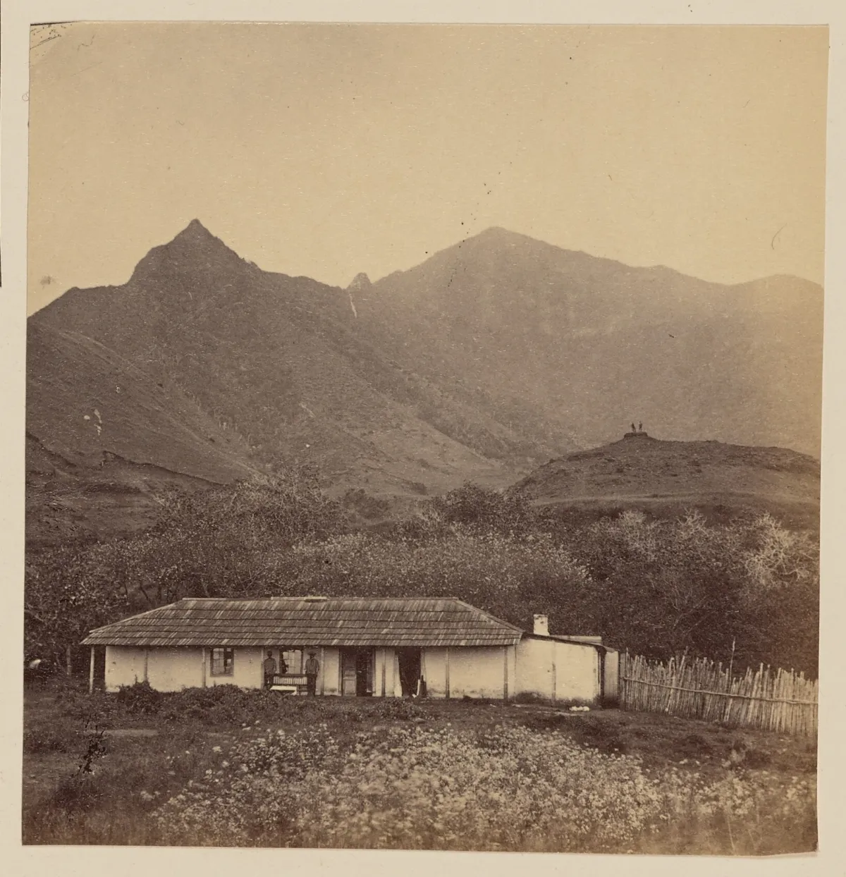 Vista de la Isla Robinson Crusoe, 1860 — 1860 | Chile de Ayer