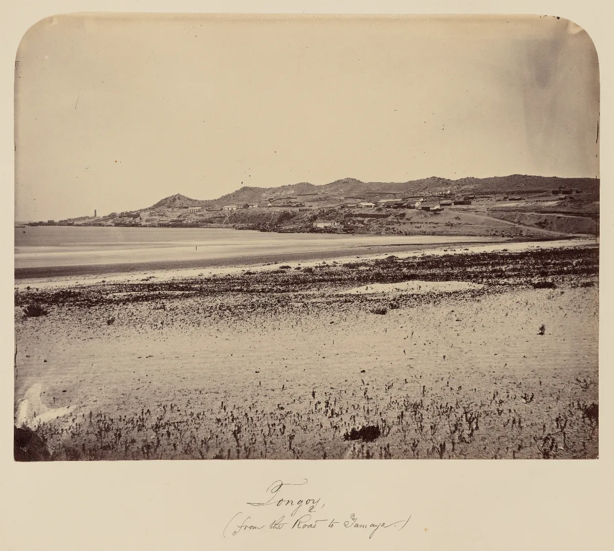 Tongoy, desde el camino a Tamaya, 1860 — 1860 | Chile de Ayer