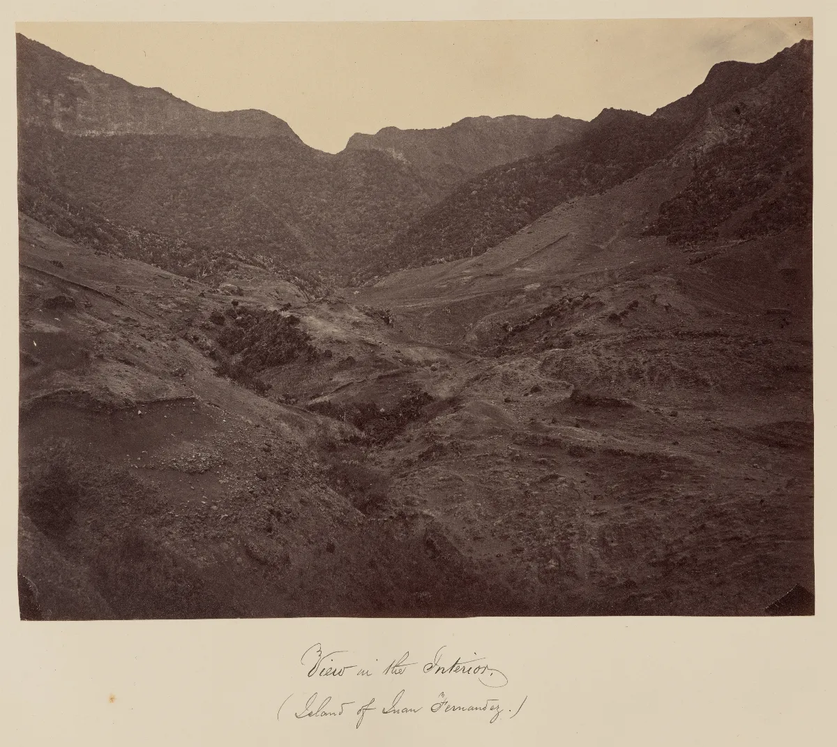 Interior de la Isla Robinson Crusoe, Archipiélago Juan Fernández, 1860 — 1860 | Chile de Ayer