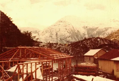 Miniatura 37