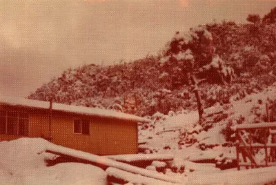 Miniatura 56