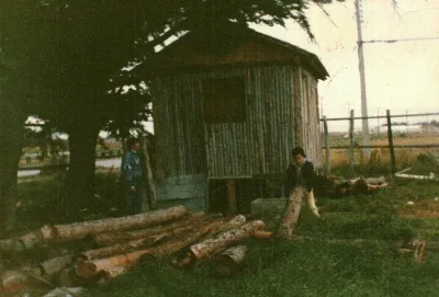 Miniatura 82