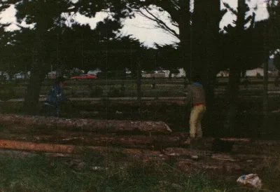 Miniatura 84