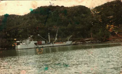 Miniatura 131