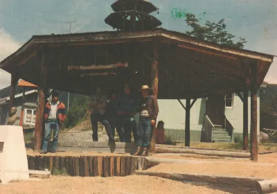 Miniatura 266