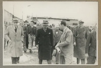 Miniatura 194