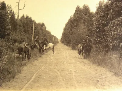 Camino a Puerto Octay en 1893. — 1893 | Chile de Ayer