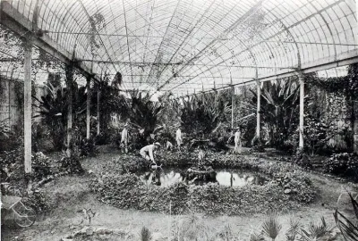 Invernadero de la Quinta Normal en 1901 — 1901 | Chile de Ayer