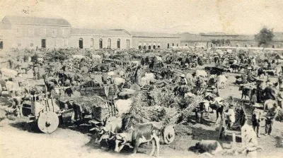 Feria de Chillán a principios de siglo XX. — 1900 | Chile de Ayer