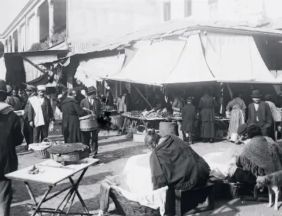 La vega del Mapocho en 1895 — Vega Central — 1895 | Chile de Ayer
