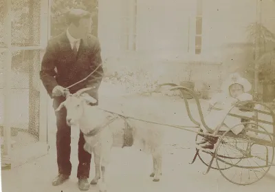 Coche con cabra en Limache en 1910 — 1910 | Chile de Ayer