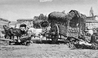 Venta de sandías en la Vega de Santiago ca. 1900 — Vega Central — 1900 | Chile de Ayer
