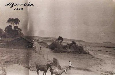 Algarrobo