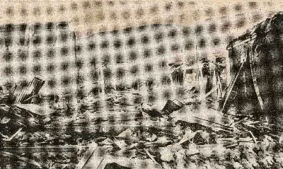 El Almendral de valparaíso en 1906 — 1906 | Chile de Ayer