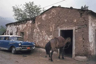 Sector Parque Nacional la Campana en los 70s — 1920 | Chile de Ayer
