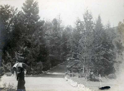 Parque Las Majadas de Pirque, CA 1901 — Las Majadas de Pirque — 1901 | Chile de Ayer
