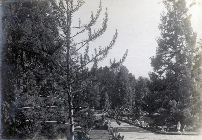 Parque Las Majadas de Pirque, CA 1901 — 1901 | Chile de Ayer
