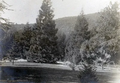 Parque Las Majadas de Pirque, CA 1901 — Las Majadas de Pirque — 1901 | Chile de Ayer