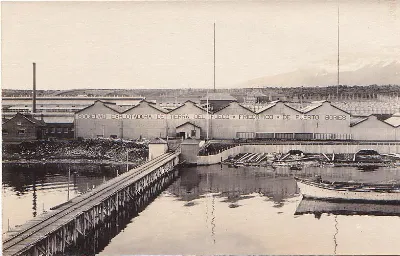 Frigorífico de Puerto Bories, 1920 — 1920 | Chile de Ayer