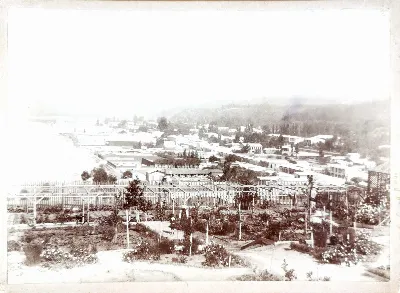 Viña del Mar desde Cerro Castillo, 1904 — 1904 | Chile de Ayer