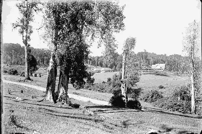 ttt — 1900 | Chile de Ayer