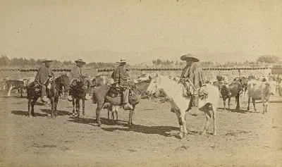Personas a caballo, zona central, 1888 — Limache — 1888 | Chile de Ayer