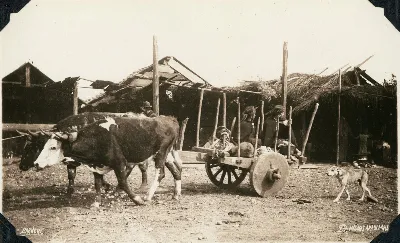 Temuco en 1926 — Temuco — 1926 | Chile de Ayer