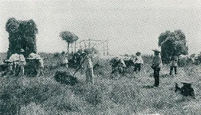 Cosecha de Campo 1890 — Zona central de Chile — 1890 | Chile de Ayer