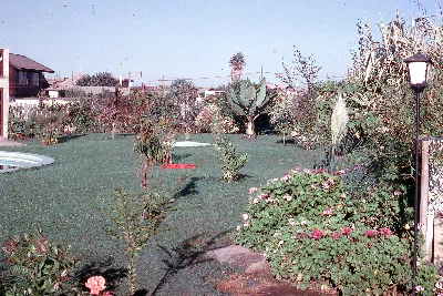 Jardín de casa en 1965