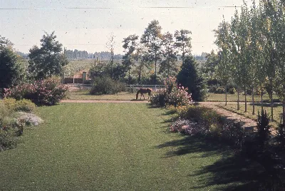 JArdín casona familiar en 1965 — 1965 | Chile de Ayer
