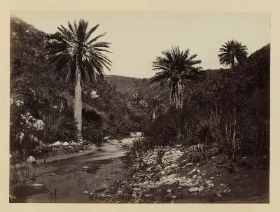Las Palmas, Valparaiso - Viña, 1868 — 1865 | Chile de Ayer